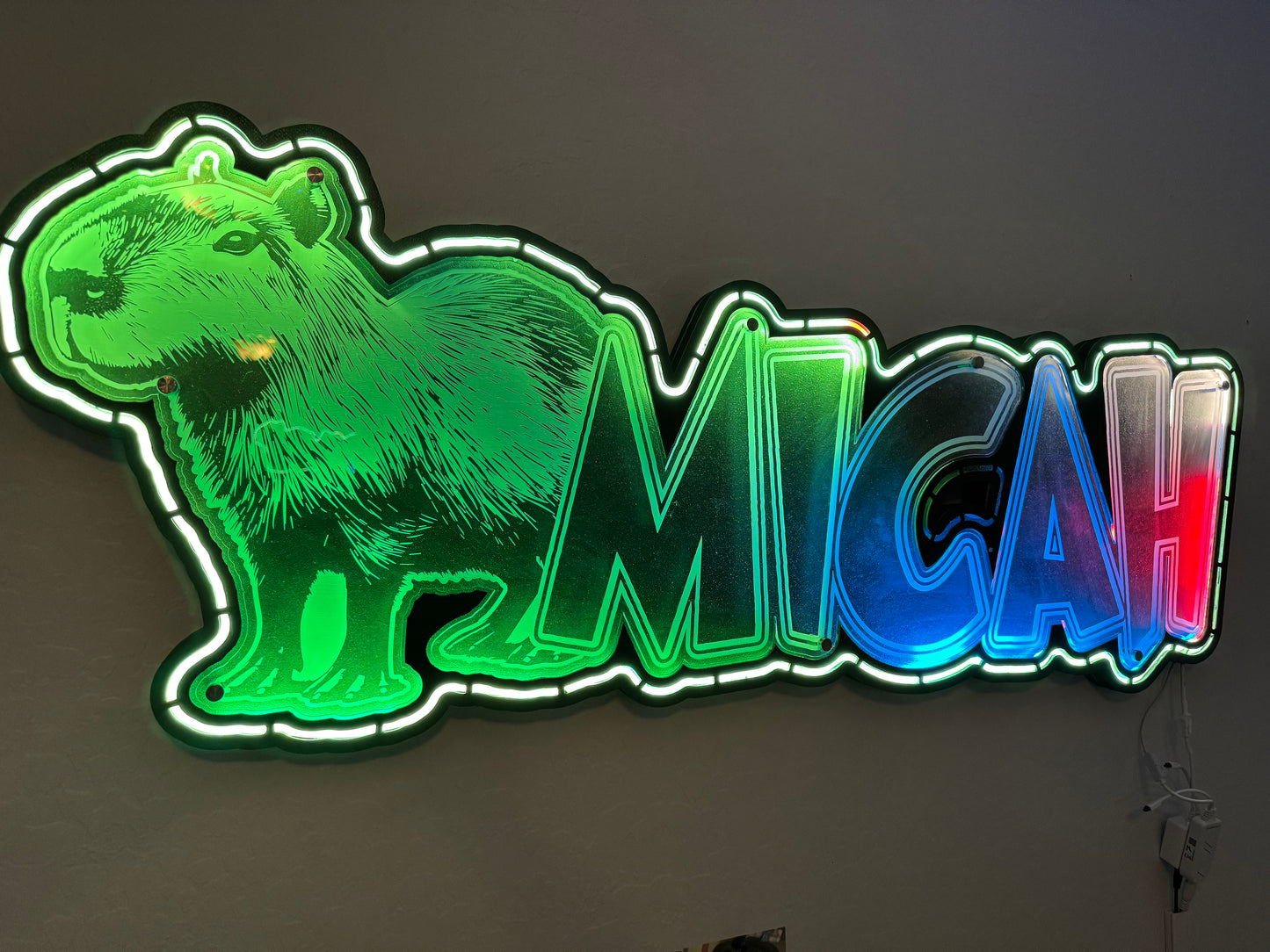 Customized LED Name Sign w/ Graphic